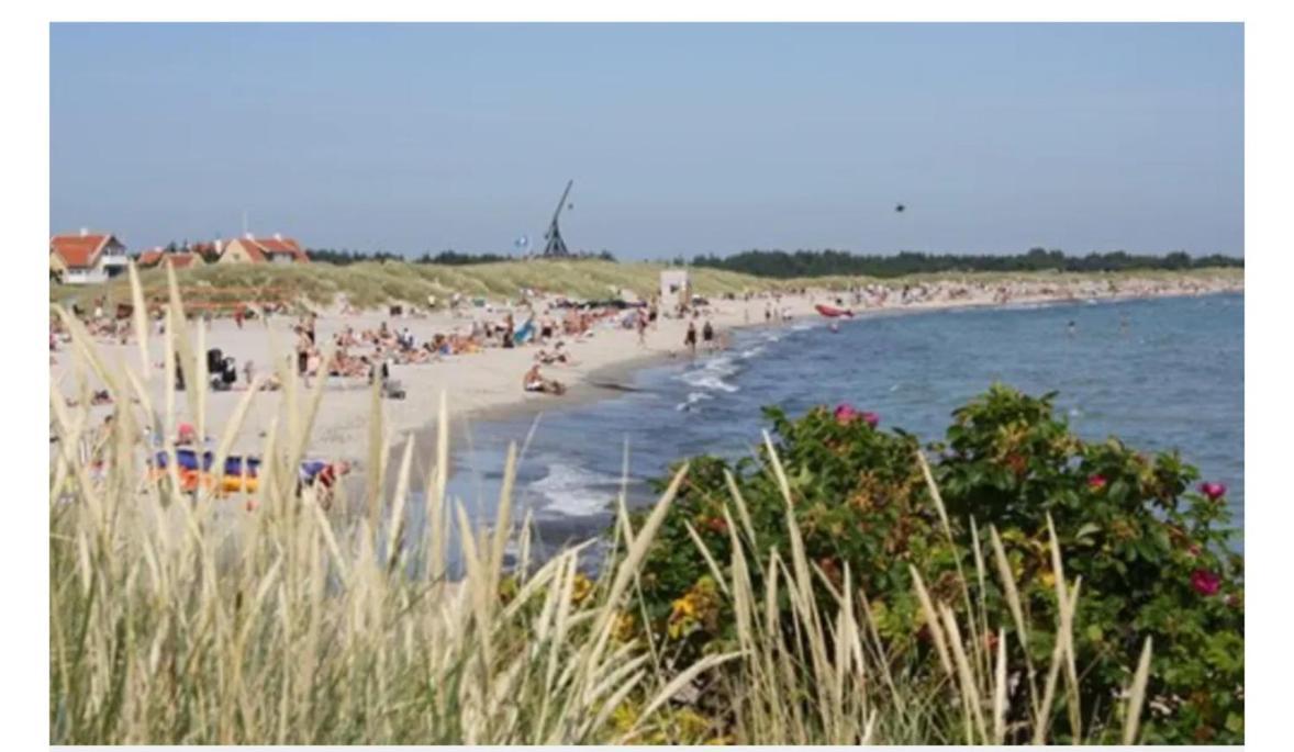 Skon Villalejlighed I Skagen Med Terrasse Og Taet Pa Centrum 外观 照片